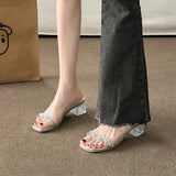 High And Cool Slippers Women Summer Wear High-End Sense 2025 New Transparent Coarse And Skirts Word