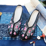Zingj Mesh Shoes Embroidered Sandals Cloth Shoes Women Summer Fashion Mesh Embroidered Women Sandals