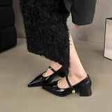 Small Leather Shoes Women 2025 New Spring Thick Heel Low Heel High Heels Retro French Temperament Mary Jane Single