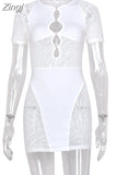 Cut Out Sexy Zebra Mesh Transparent Women's Mini Dress for Beach Holiday Night Club Party Bodycon Pencil Short