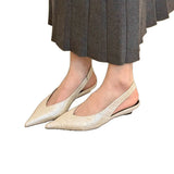 Low-Heeled Apricot-Colored Single-Shoe Fairy Shoes 2025 New Spring And Summer Pointed Skirts With Skirts Late Evening Single