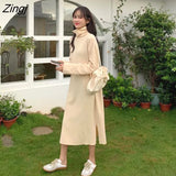 Sleeve Dress Women Solid Turtlenek Side Slit Midi Elegant All-match Korean Style Simple Winter Fashion Ins Stylish