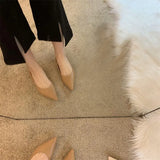 Women In The Spring Of 2025 New Pointed Light-Sed Flat Single Shoes Low Heel Shoes Working