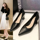 High Heels Women 2025 Spring And Autumn New Korean Version Fashion Shallow Thick Heel A High Heel Single
