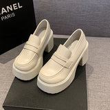 Small Leather Shoes Women Ultra-High Heel 2025 Spring And Autumn New Retro Jk Single Shoes Waterproof Table Thick-Soled Lefu Shoes