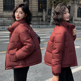 Down Cotton Clothing Autumn Winter Winter European Goods Cotton-Padded Coat Pinghu Thick Cotton-Padded Jacket Women's Clothing 2024 New Bread Clothes-Outfit