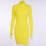 Turtleneck Long Sleeve Skinny Mini Dress Women Autumn New Cotton Solid Elastic Dresses 4 Color Bodycon Casual