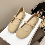 Head Light Mouth Retro 100 With Skirt Coarse Heel Single Shoes Women 2025 New Summer White French Mary Treasure