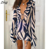 Print Zebra See Through Mesh Women Dress Sexy Deep V Neck Long Sleeve Dress Female Autumn Skinny Elegant Party