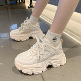 Street Old Dad Shoes Women's Winter 2025 New Ins Thick Bottoms To Increase Small Sports