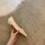 Women In The Spring Of 2025 New Pointed Light-Sed Flat Single Shoes Low Heel Shoes Working