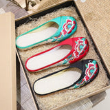 Zingj Summer Color Embroidery Leisure Walk Embroidered Cloth Shoes Women's Cloth
