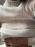 High Neck Semi Sheer Knit Top- Outfit