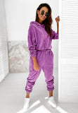 Piece Set Women Tracksuit Velour Women Velvet Set Woman Tracksuit Sets Winter Top & Pants Velvet Suit Conjuntos De