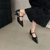 Small Leather Shoes Women 2025 New Spring Thick Heel Low Heel High Heels Retro French Temperament Mary Jane Single