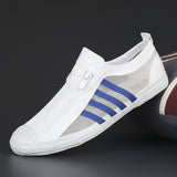 Men's Shoes 2025 Summer New Men's Canvas Shoes Korean Version Of The Trendy Casual Shoes Zipper