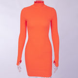 Turtleneck Long Sleeve Skinny Mini Dress Women Autumn New Cotton Solid Elastic Dresses 4 Color Bodycon Casual