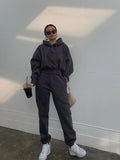 Basic Solid Hooded Tracksuit SetOutfit