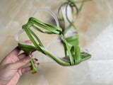 Zingj 2023 High Heel Fashion Winding Strap Sandal Women's Head Wine Cup Heel Sandal