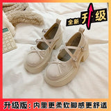 Mary Jane Shoes Women's Summer 2025 New Shallow Thick Heel Single Shoe Bow With Skirt Jk Small Leather