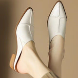 Half Slippers Women Autumn And Summer 2025 New Korean Version Of Wearing Thick And Cold Slippers Pointed Lazy Man Heel Muller