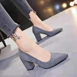 High-Heeled Velvet Single Shoes Women's Coarse Heel And Light-Mouthed Pointed Fashion Shoes Ladies