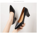 Single Shoes Women's Coarse 2025 Spring And Summer New Pointed Work Shoes Shallow One-Footed Korean Version Of Simple High