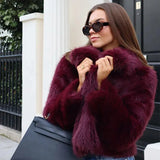 Women's Clothing Explosion Fashion Elegant Collar Collar Coat Imitation Fur