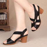 Summer New Fish Mouth Toe Fashion Roman High-Heeled Sandals Women Thicke Middle-A-Year-Old Mother