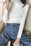 Soft Women Turtleneck Sweater Autumn Knitted Solid Jumper Winter Long Sleeve Elastic Pink Female Pullover Top