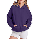 Hot Sales Loose Leisure Sleeve Hooded Solid Color Plus Velvet Lady's