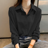 Women's Spring 2025 New Design Fashion Stylish Stylish T-Shirt Professional Temperament Long Sleeve