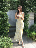 Xixi 13 Lines 2025 Spring New Retro Temperament Print Pure Desire High-Waisted Sling Dress Women
