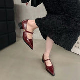 Small Leather Shoes Women 2025 New Spring Thick Heel Low Heel High Heels Retro French Temperament Mary Jane Single