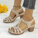 Sandals Women 2025 Summer New Solid Color Fish Mouth Thick Heel With High-Heeled