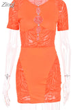 Cut Out Sexy Zebra Mesh Transparent Women's Mini Dress for Beach Holiday Night Club Party Bodycon Pencil Short