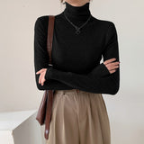 Solid Color Turtleneck Long Sleeve Knitted Tee-Outfit