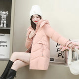 High-End Temperament Hooded Long Down Cotton-Padded Jacket Female 2024 Winter New Slim Show Cotton-Padded Jacket Versatile Coat-Outfit