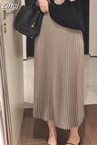 Women's Maxi Winter Skirt A-line White High Quality Brown Vintage Long Pleated Skirt Midi Elastic Waist Elegant for Women